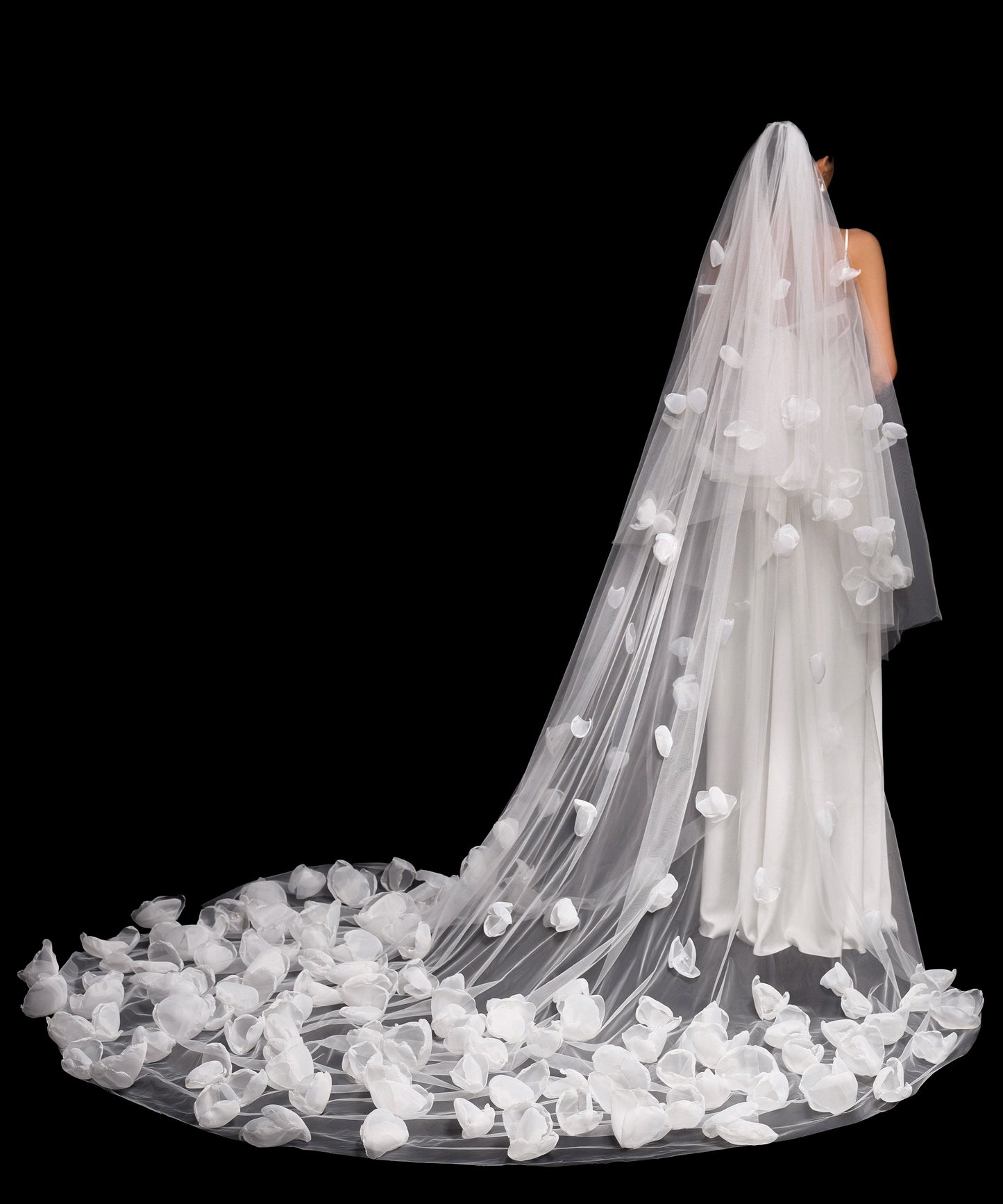 VEIL SAMPLES