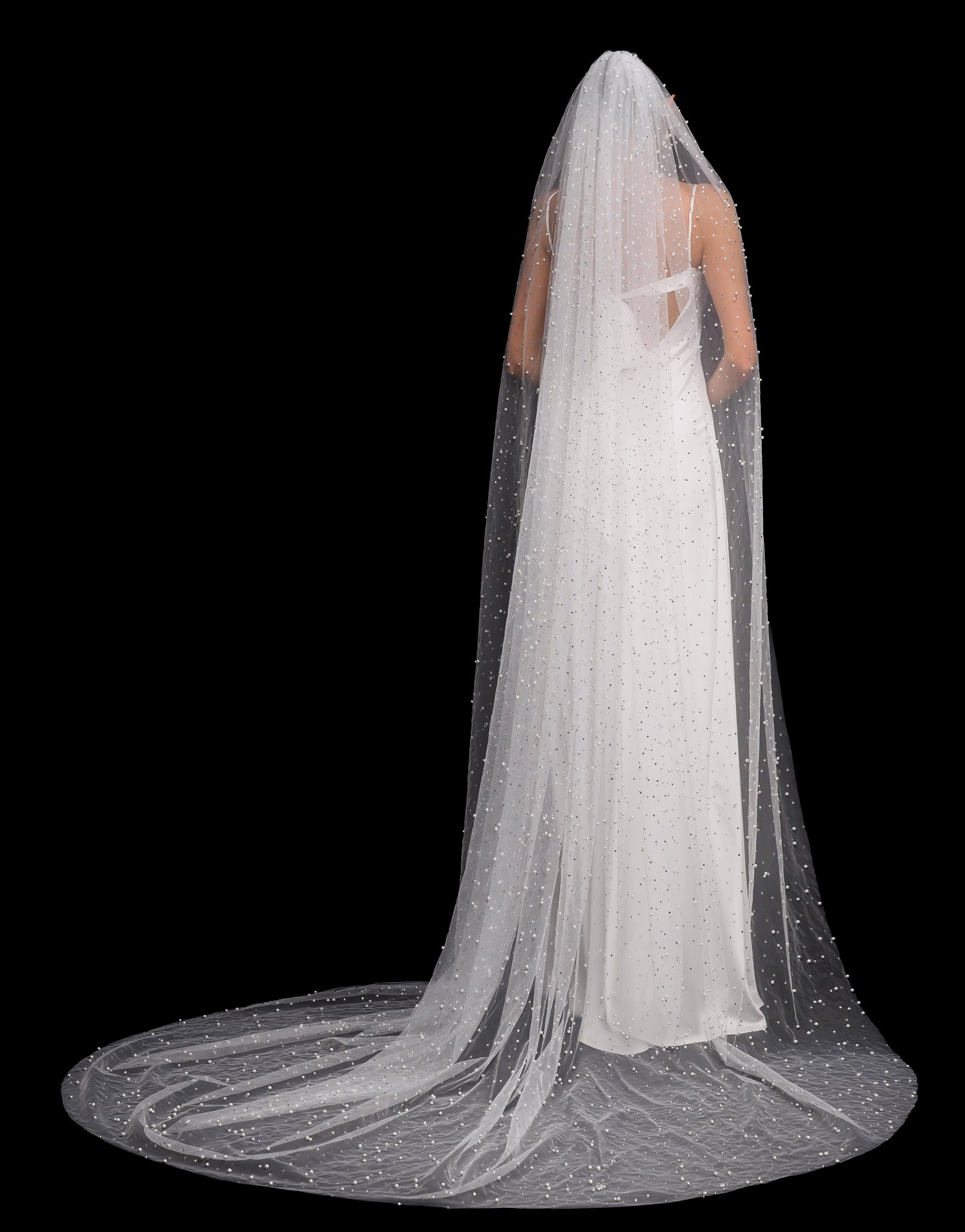 VEIL SAMPLES