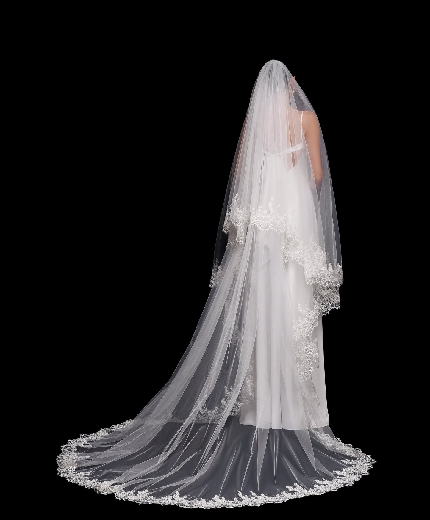 VEIL SAMPLES