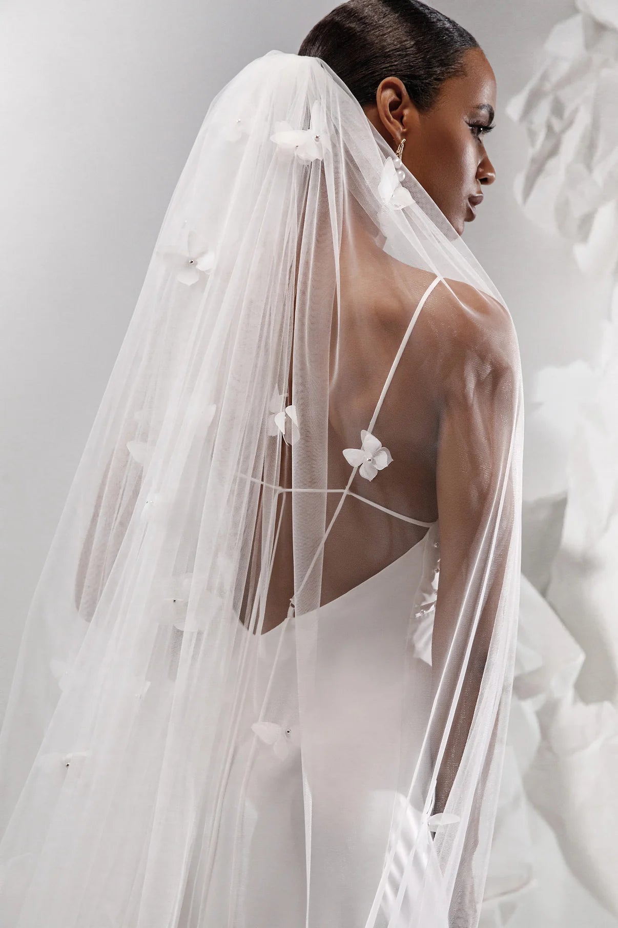 VEIL SAMPLES