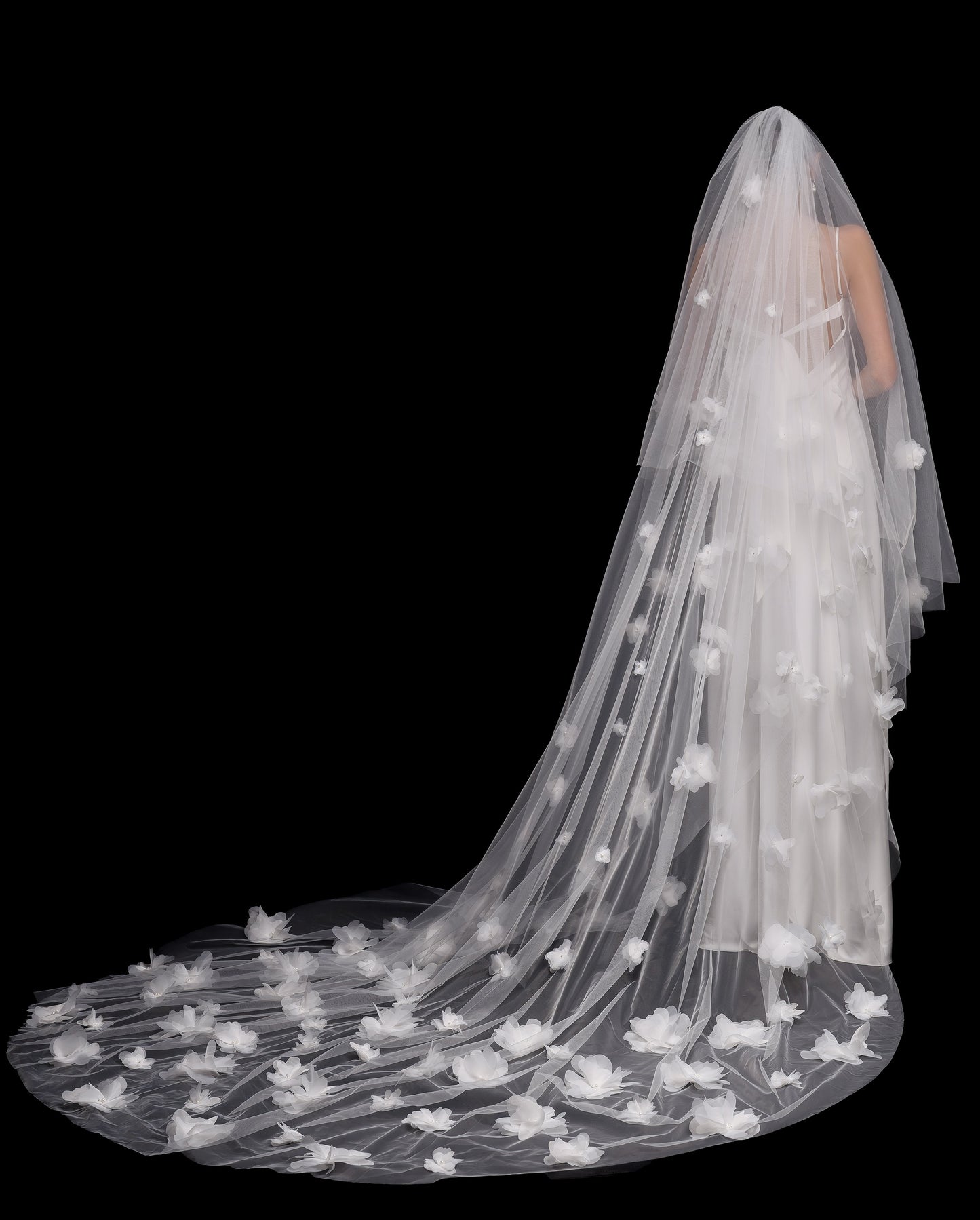VEIL SAMPLES