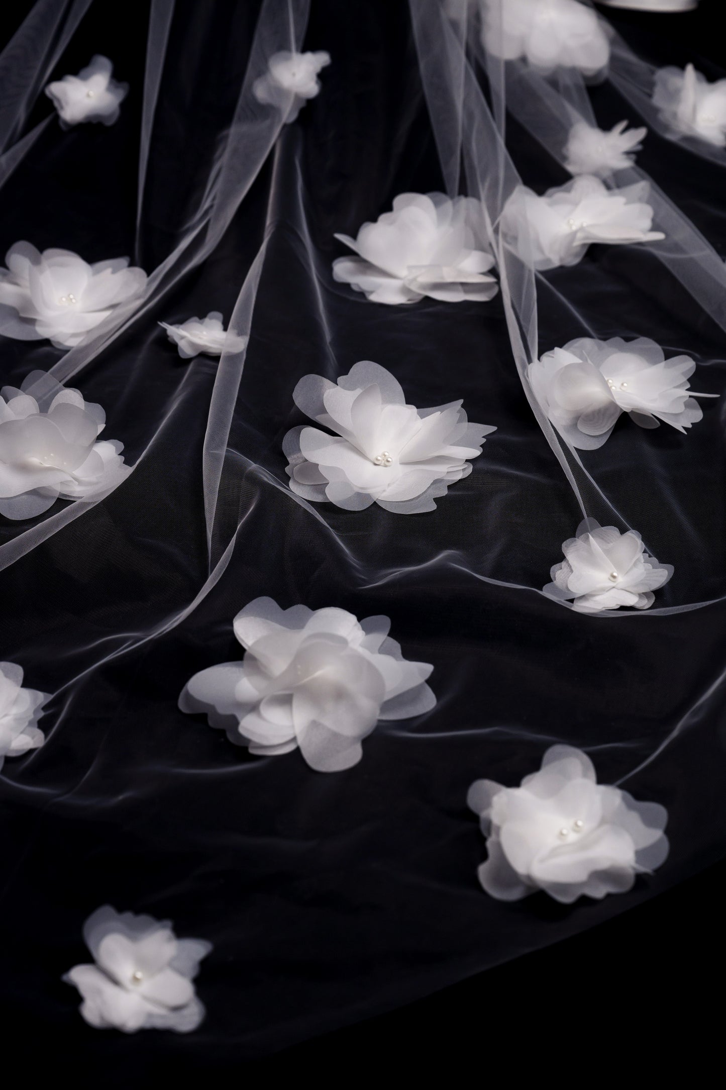 VEIL - LOTUS