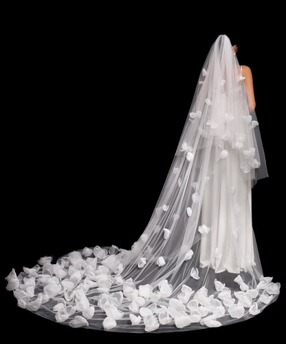 VEIL SAMPLES